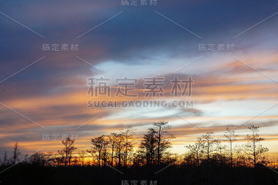 路易斯安那沼泽的日落