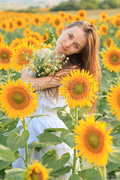 向日葵地里的年轻女子
