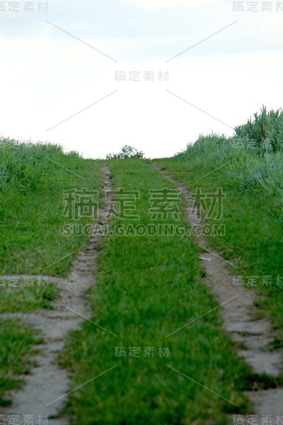 农村草地