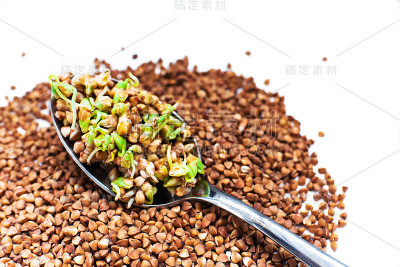勺子上放着发芽的绿荞麦，白色背景上散落着谷物。