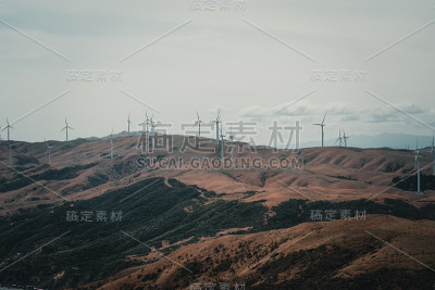 风景与风力涡轮机农场在惠灵顿