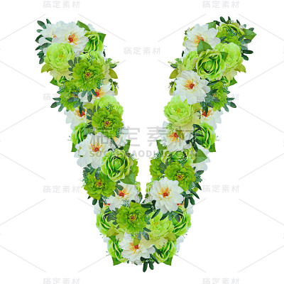 从绿色和白色的花中分离出来的字母V