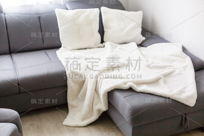 带有沙发的现代客厅设计