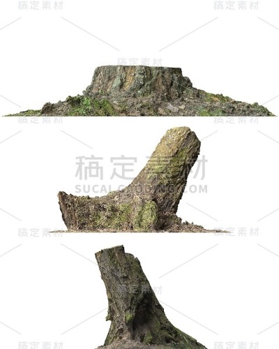 树桩死树孤立的白色3d插图