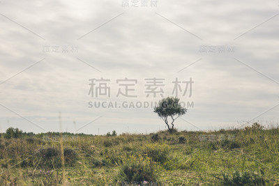 kamenjak景观