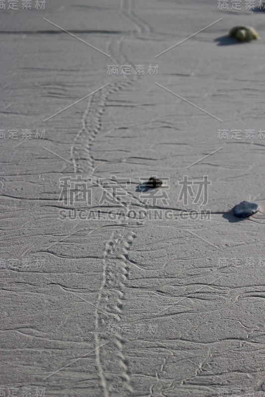 西米兰群岛的沙滩背景