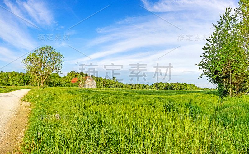 乡村景观，麦田和谷仓全景