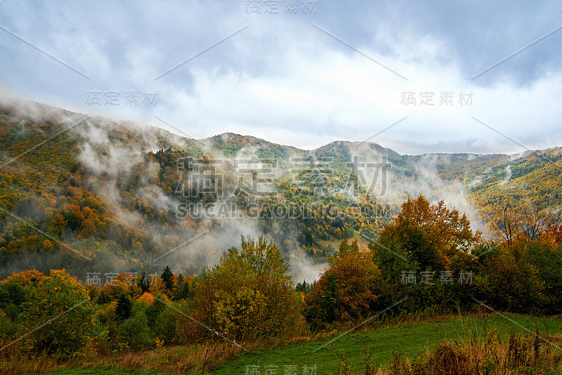 高山景观与云彩和彩色的树木