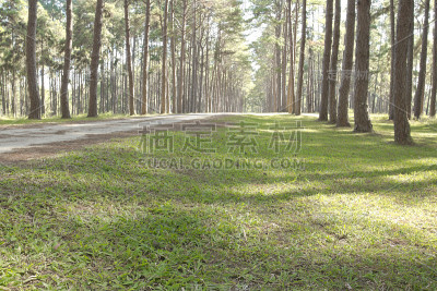 松的方式