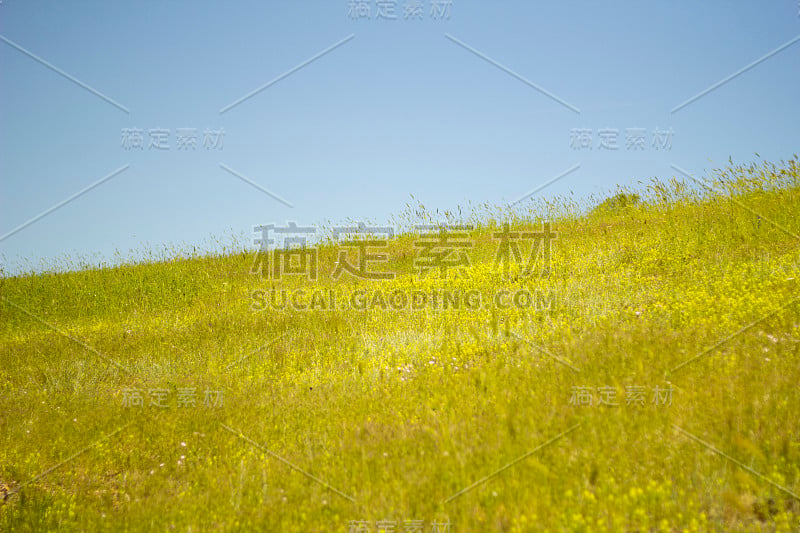 草地和蓝天