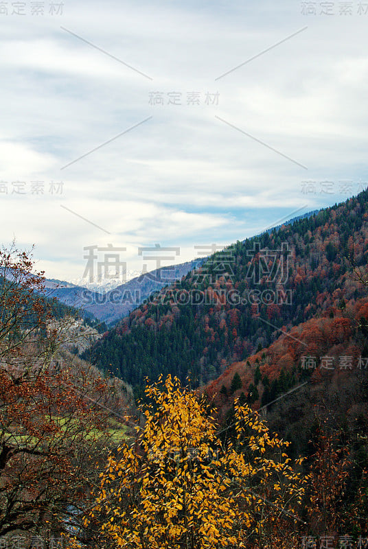 美丽的山景。