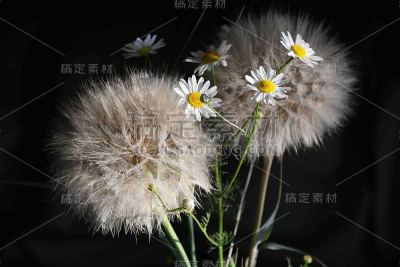 花