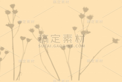 夏季背景的植物阴影。一种外来植物的影子在米黄色的墙上。模型