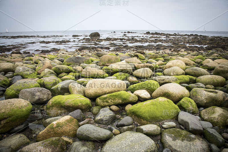 海洋奇观风景