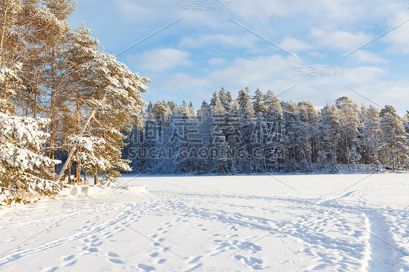 冰冻的湖面和白雪覆盖的森林