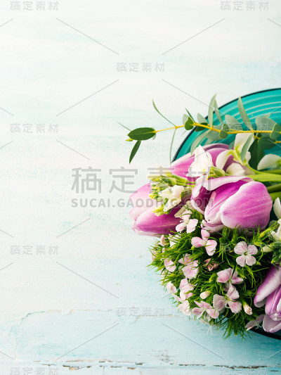 空紫色卡花郁金香玫瑰春天柔和的颜色