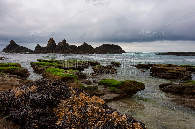 俄勒冈海岸的海豹岩海滩