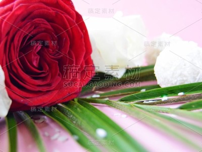 抽象蜡笔背景与玫瑰和糖果的概念母亲节，情人节，生日，春天的鲜花
