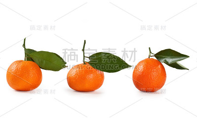 柑橘