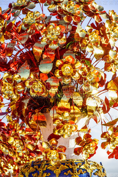 金色的花