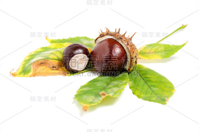两个栗子