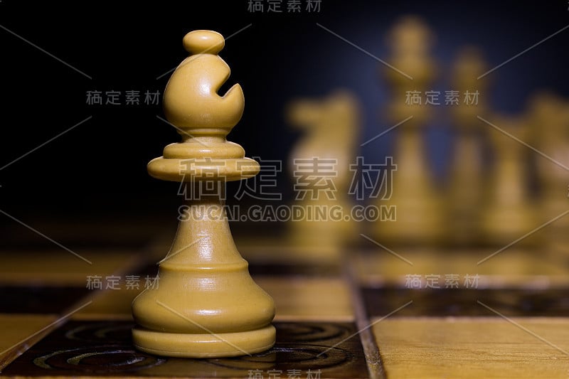 棋盘上的象棋