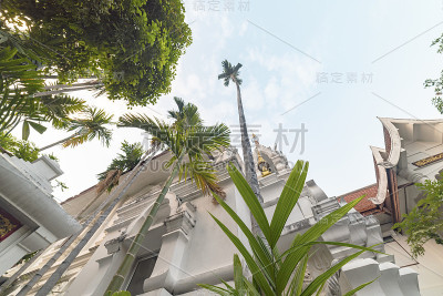 清迈市的一座佛教寺庙。泰国。2020年2月22日