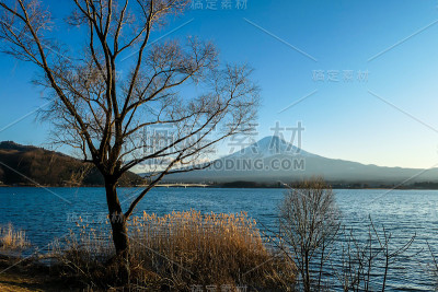 日本——川口湖和富士山的田园风光