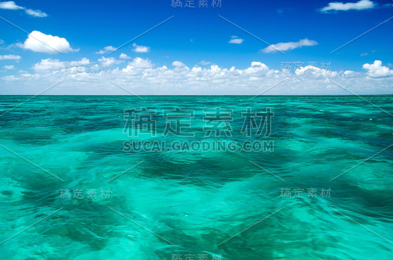 海