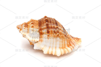 六角形三角壳