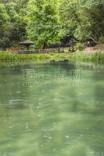 绿色的湖