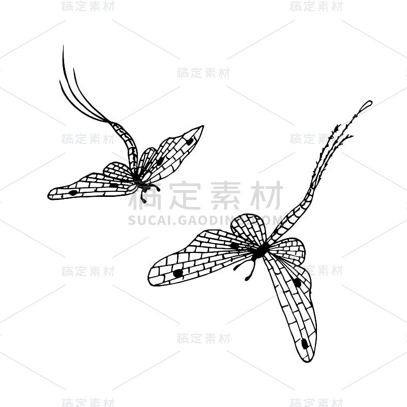 手绘墨水单色蜉蝣素描stock vector