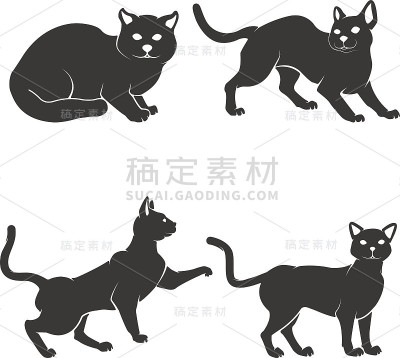 一组猫孤立的白色背景。