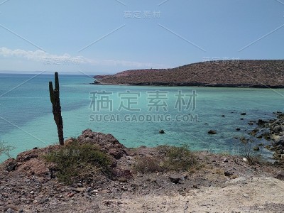 科尔特斯海，下加利福尼亚，墨西哥