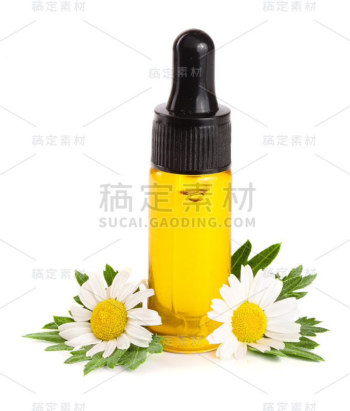 瓶子与精油和新鲜洋甘菊花孤立在白色背景