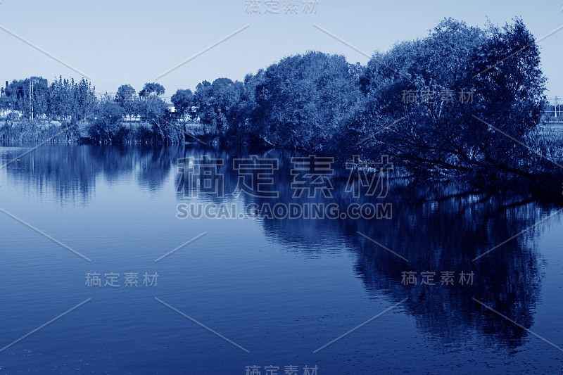 池塘的景色