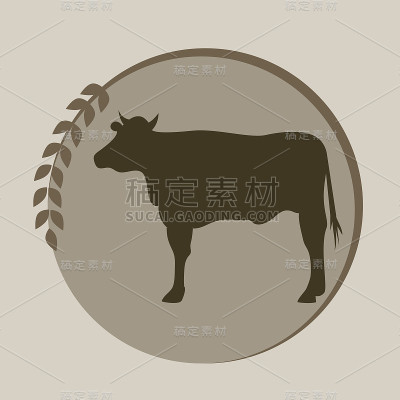 菜单的肉