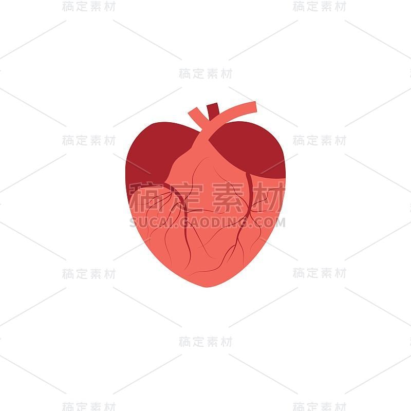 Arteri矢量插图设计