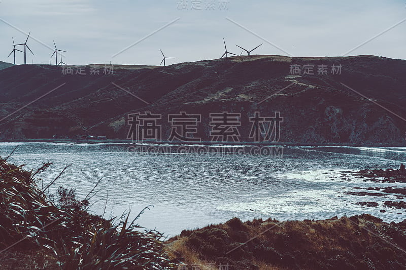 新西兰惠灵顿海滩景观;