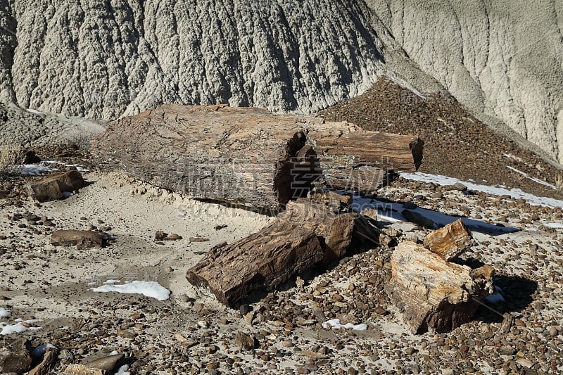 德纳津荒野地区，比斯提荒地，美国新墨西哥州