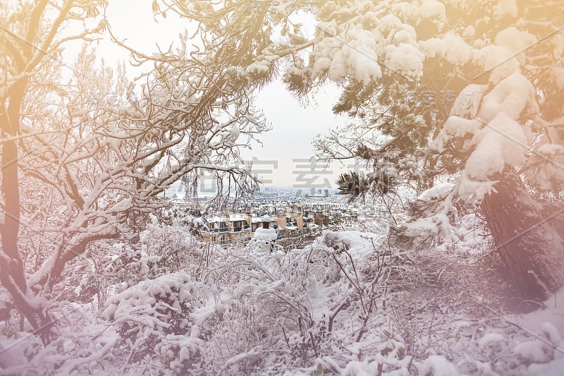 从巴黎蒙马特公园望去，雪花纷飞