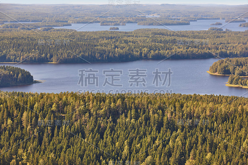 芬兰库奥皮奥地区。岛,森林湖。芬兰的风景。