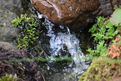 自来水