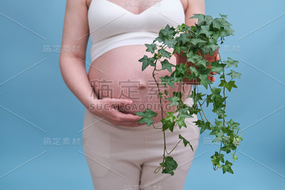 孕妇和常青藤植物在手，蓝色背景