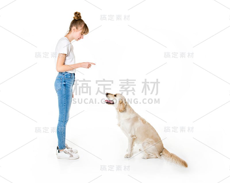 漂亮的少女和她美丽的金毛猎犬在白色的背景