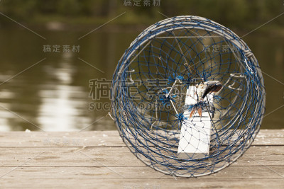 小龙虾捕捞