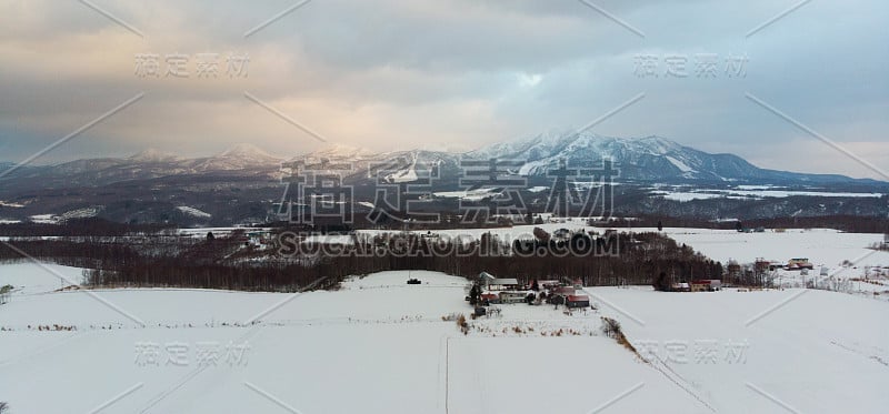 冬天的风景照片，雪覆盖的农田和光秃秃的树木与雄伟的约泰山在背景