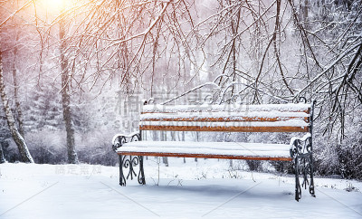 公园的长椅和树木被大雪覆盖