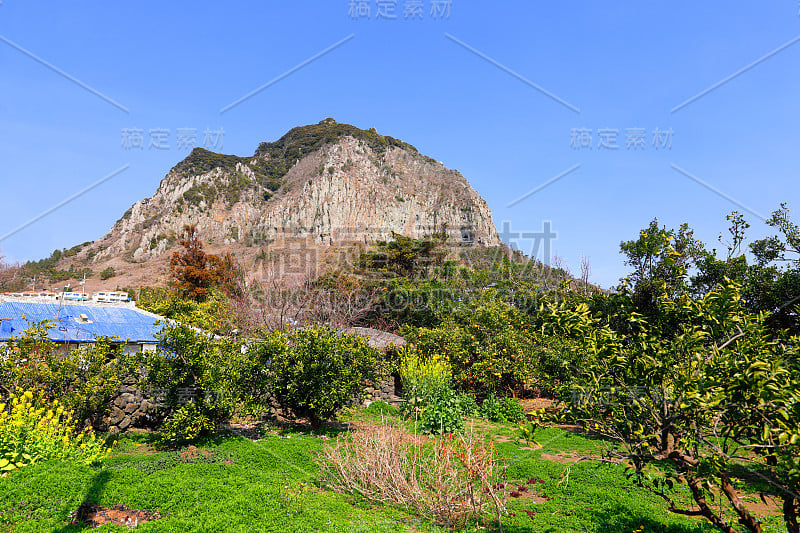 三邦，海滩，海岸，海滩，海岸，海岸，海草，龙头海岸，