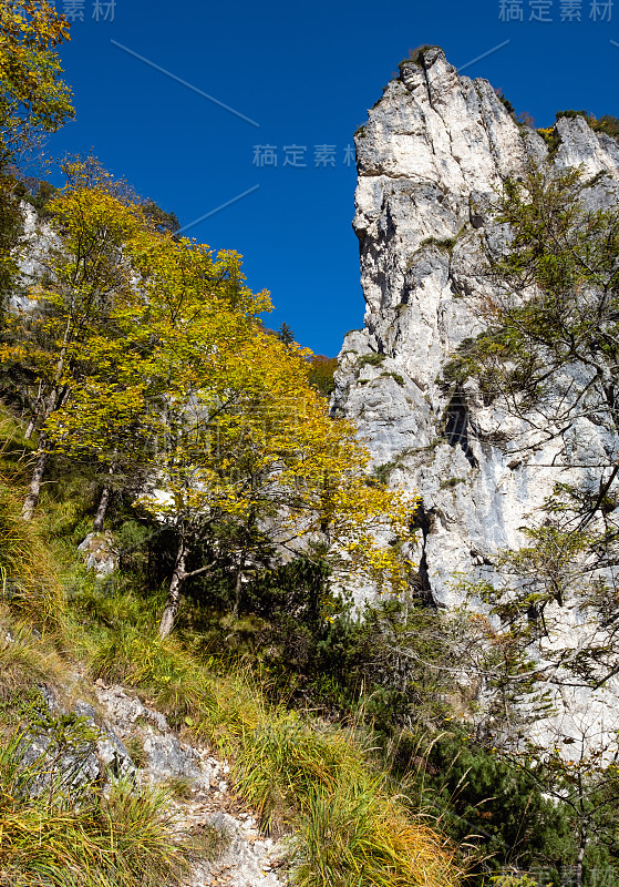 阳光灿烂的高山秋景。上奥地利阿尔姆西湖附近徒步旅行的宁静岩石山景。